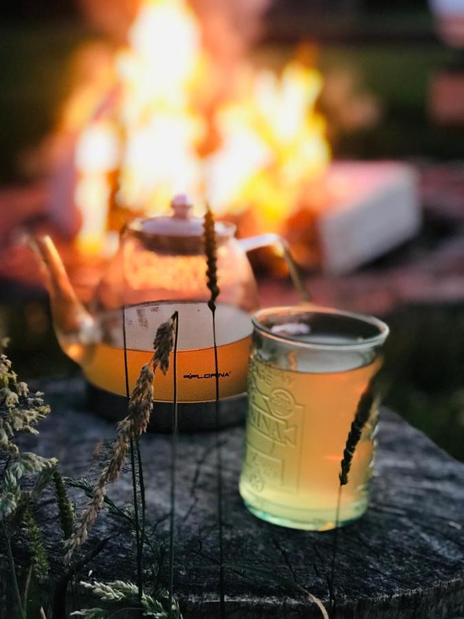 Zagroda w Puszczy Białowieża Zewnętrze zdjęcie
