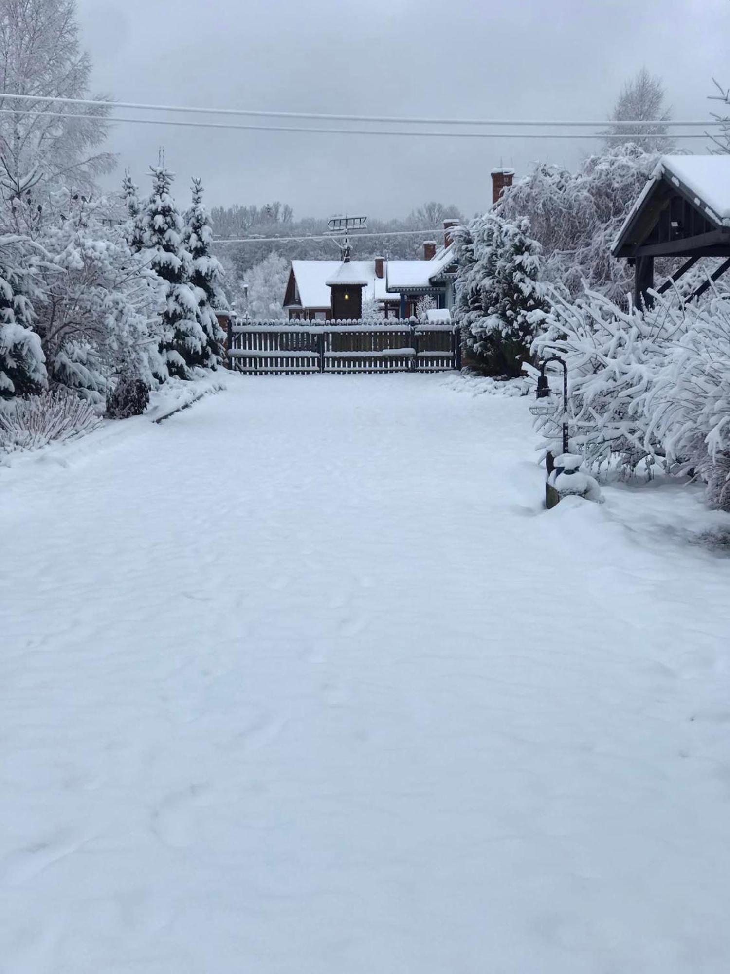 Zagroda w Puszczy Białowieża Zewnętrze zdjęcie